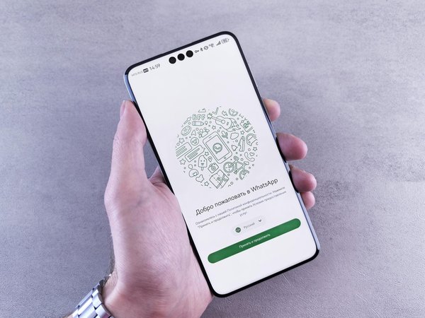 Amplificateur wifi : les clés pour choisir le bon modèle